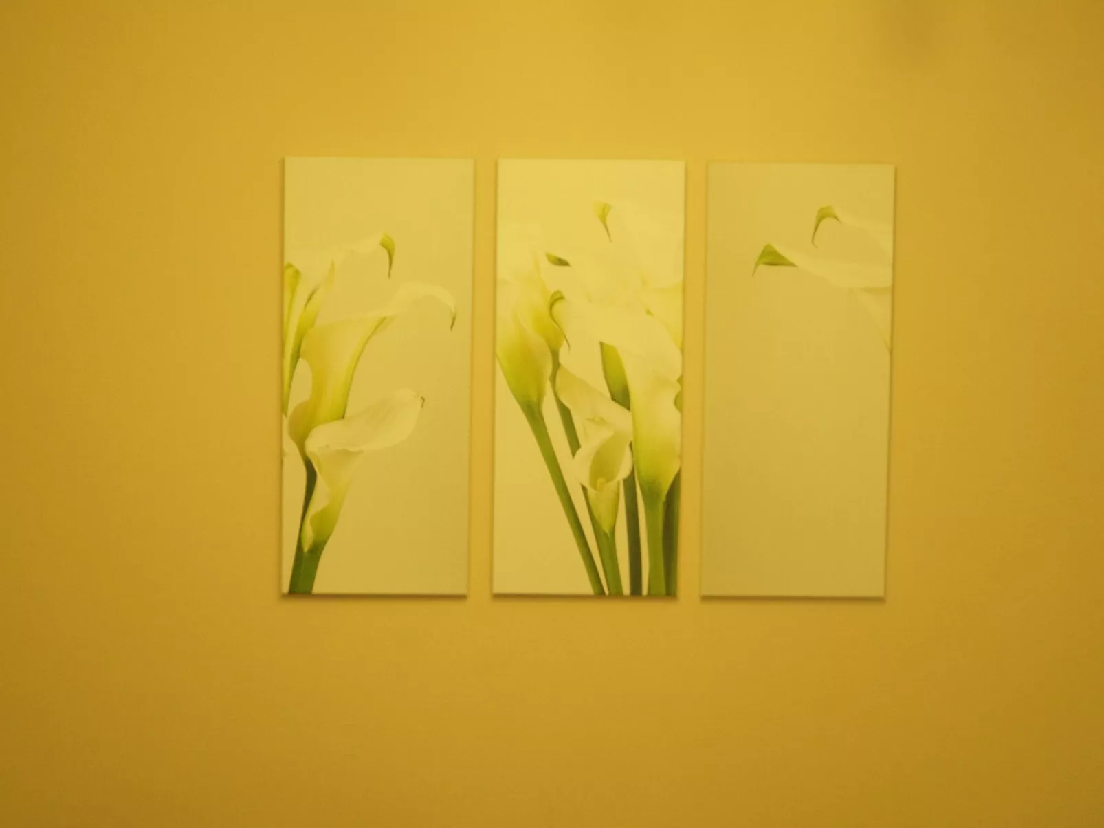 Cassiopaia in Baden-Baden-Binnen