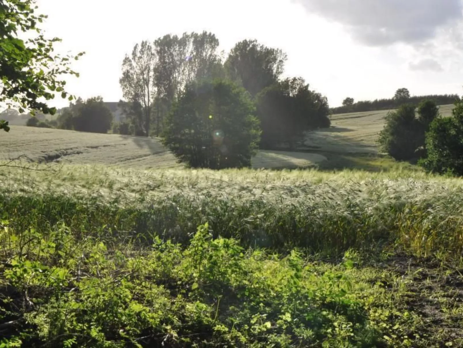 Hof Rodenkrog Fewo 2-Image-tags.info