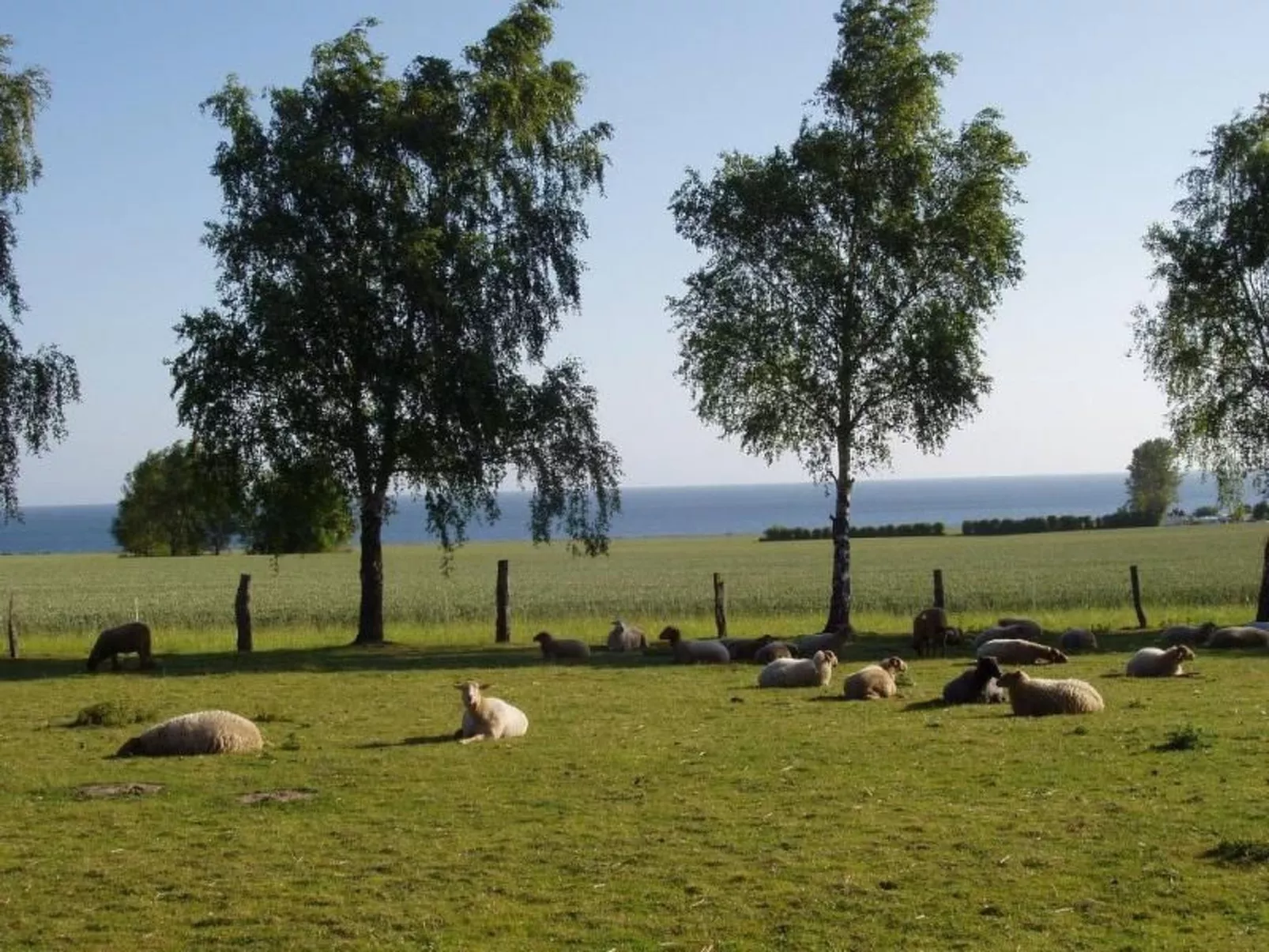 Mit Meerblick - direkt an der Ostsee-Image-tags.info