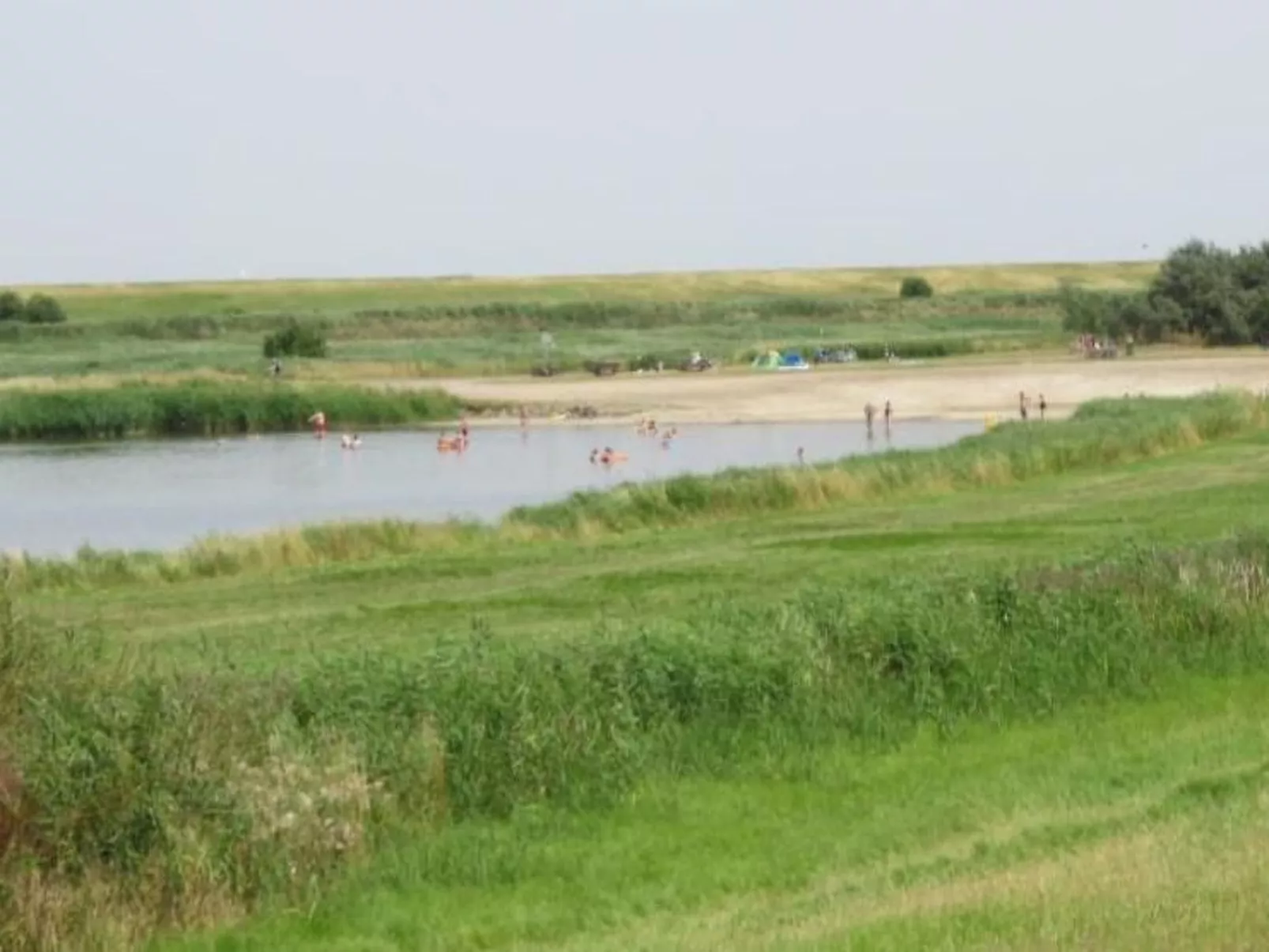 Seepferdchen-Image-tags.info