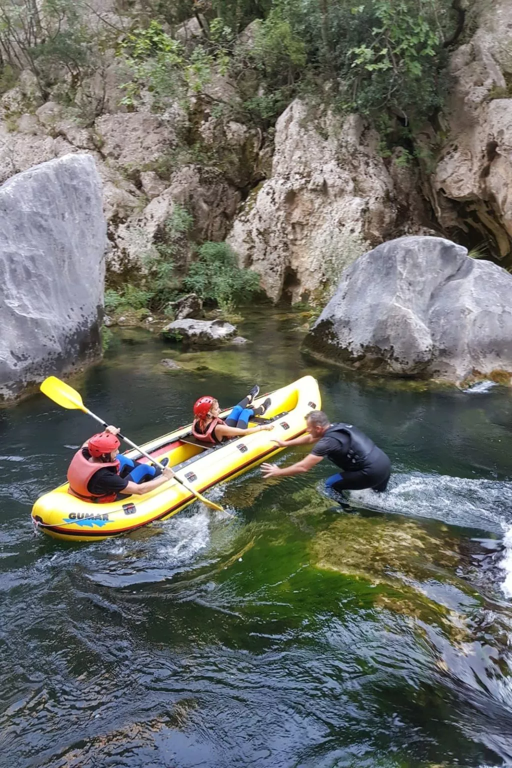 La Finca OliveTree-Image-tags.info