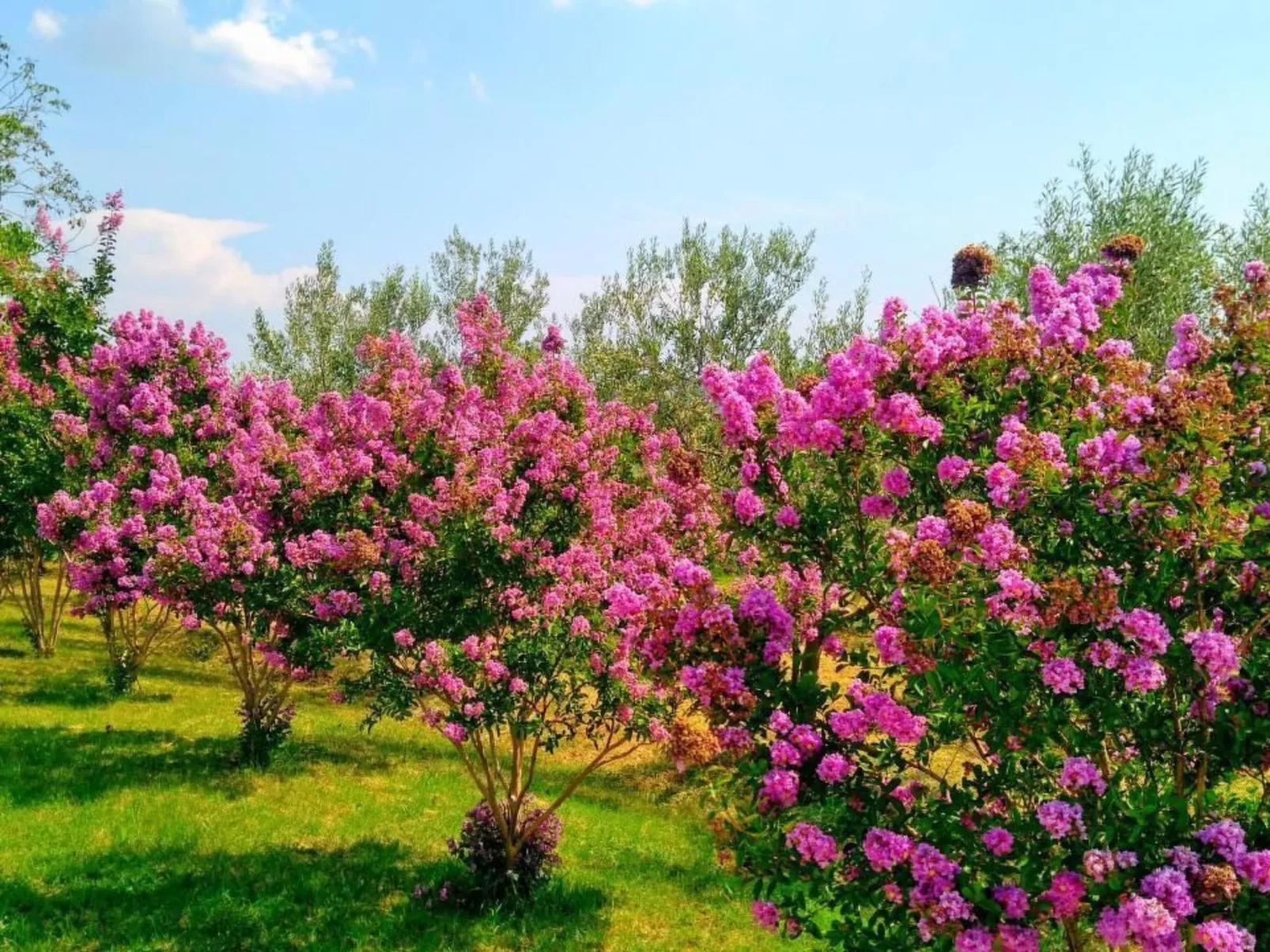 Wohnung mit privatem Pool und herrlicher Aussicht-Buiten