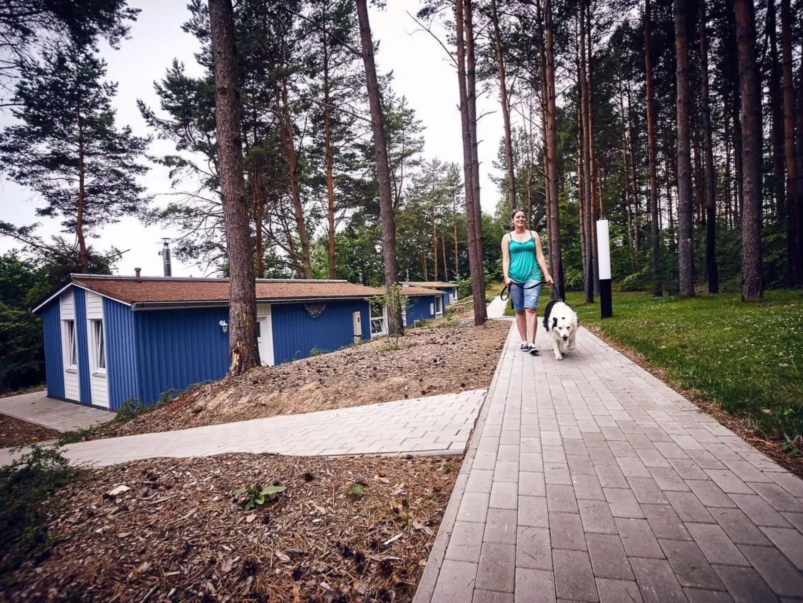 Anne-Image-tags.info