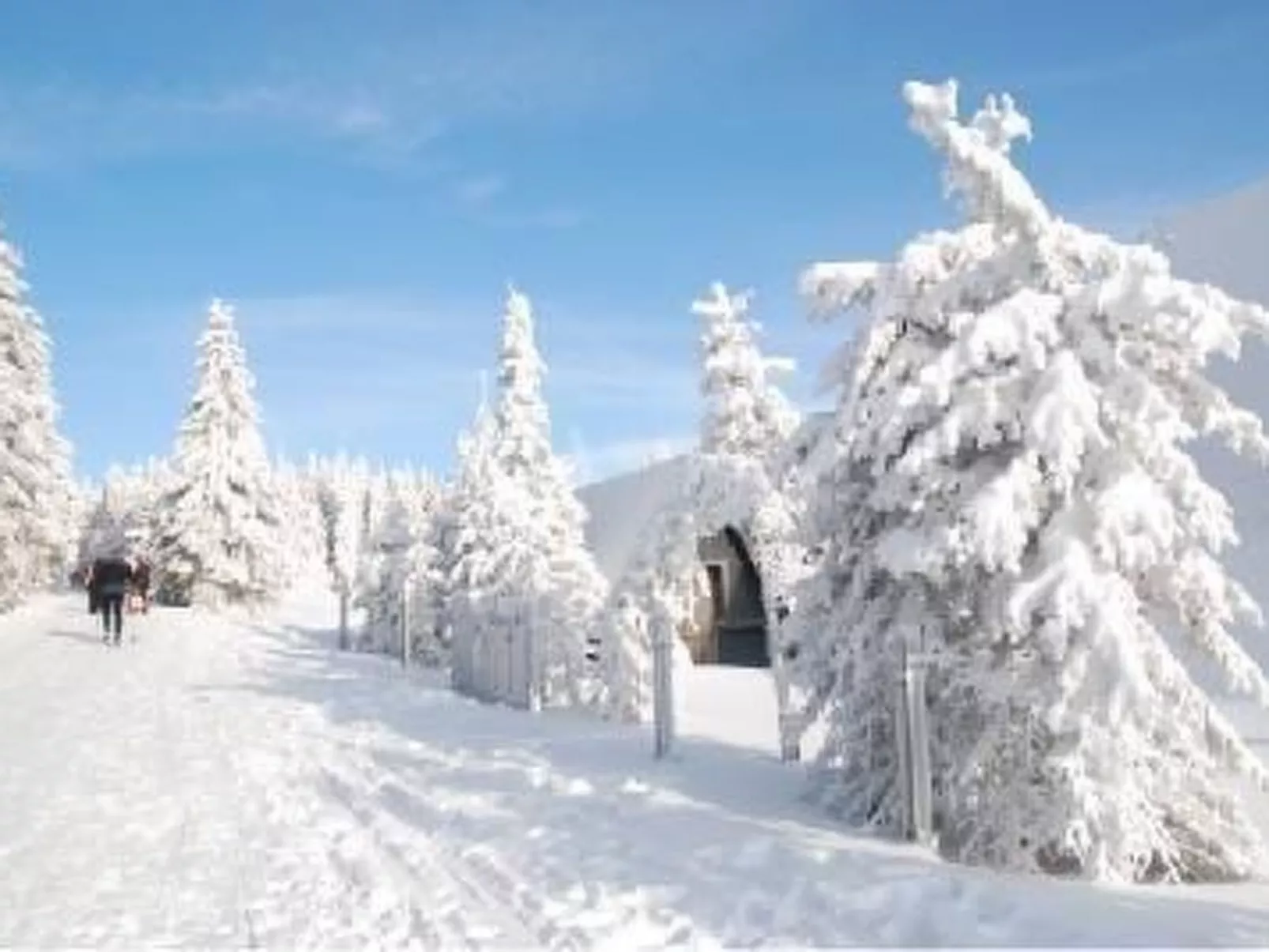 Gemütliche Ferienwohnung im Thüringer Wald-Buiten