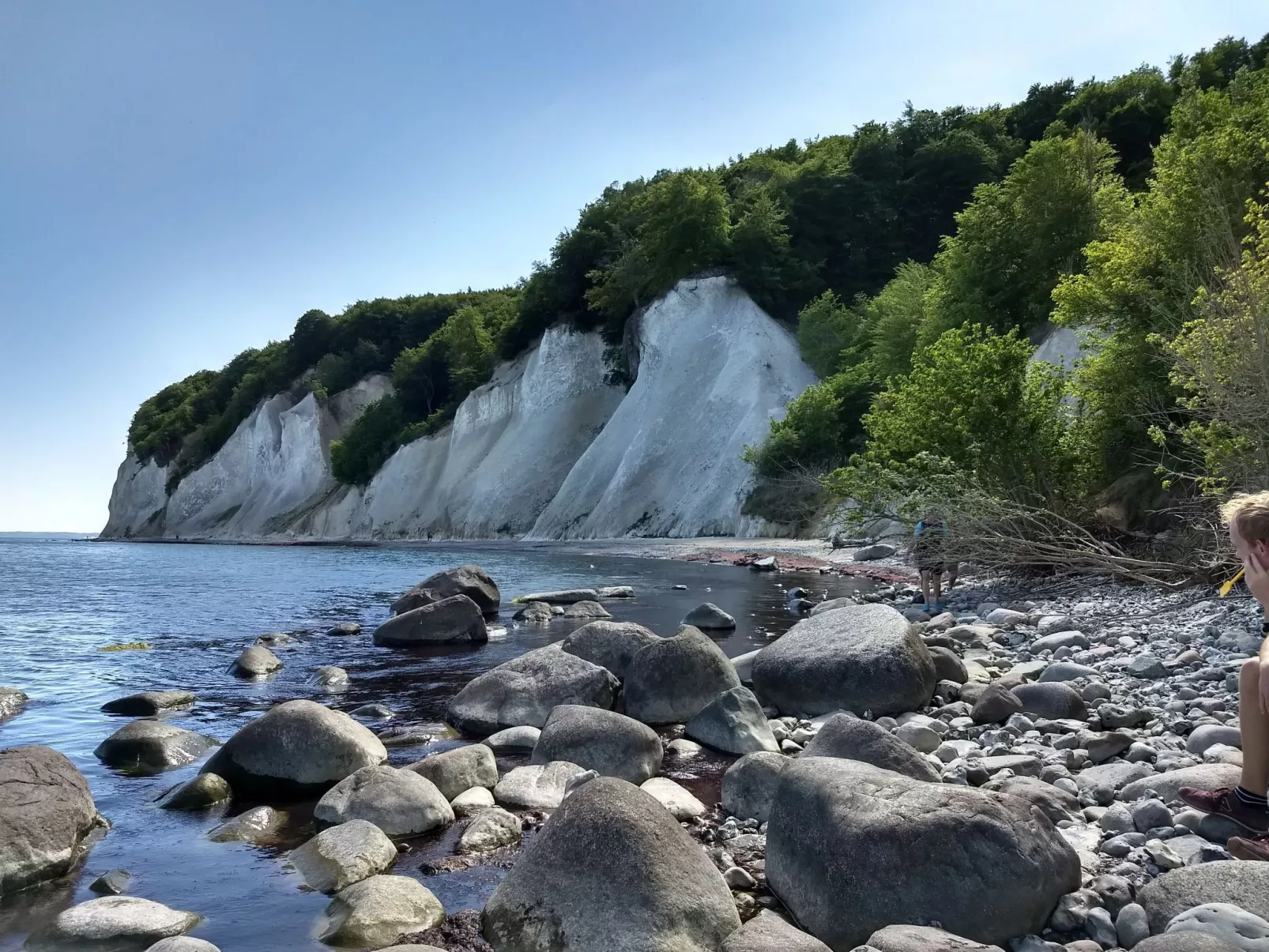 Schmetterling-Buiten