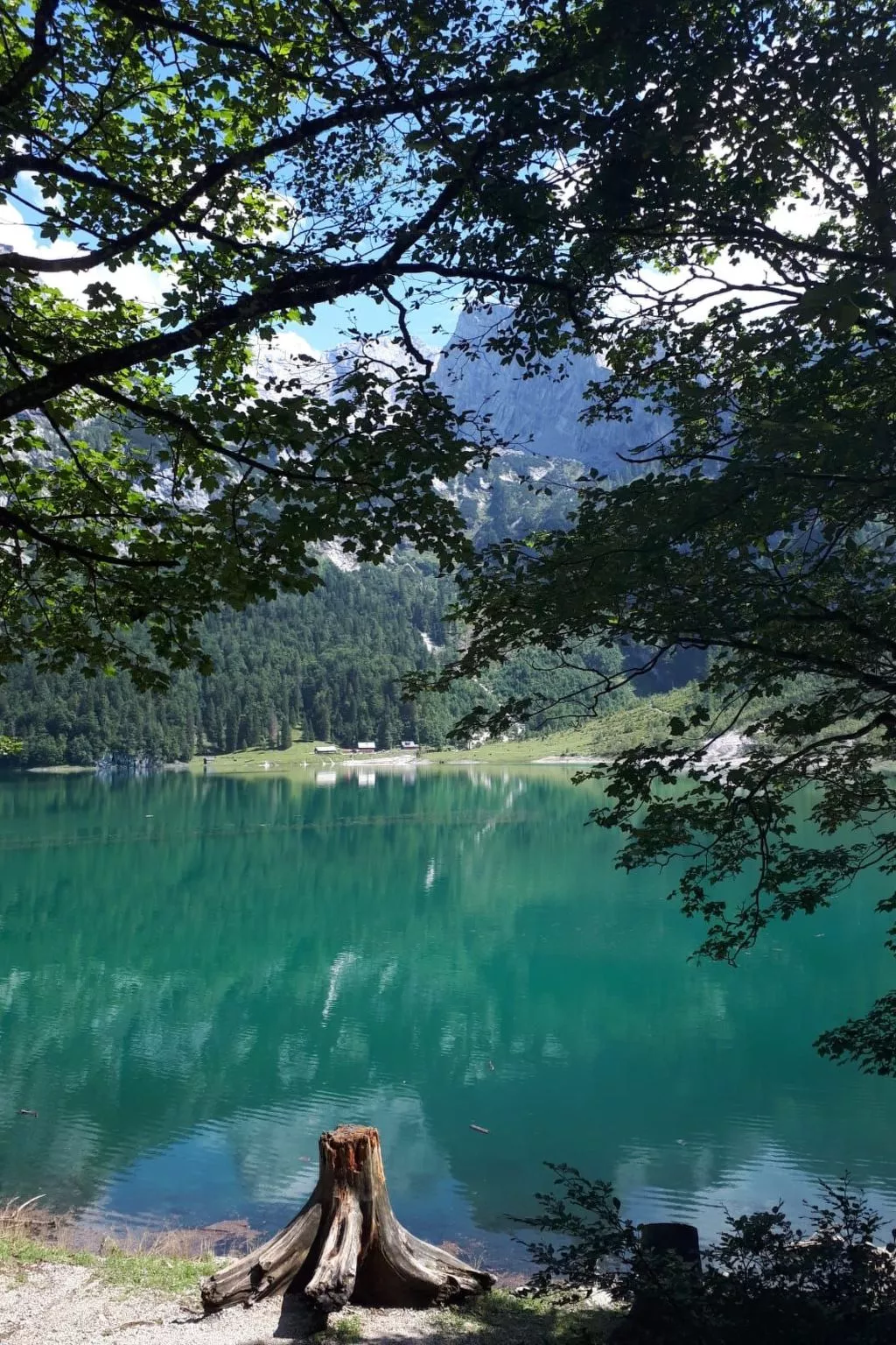 Apartment Daniel-Buiten