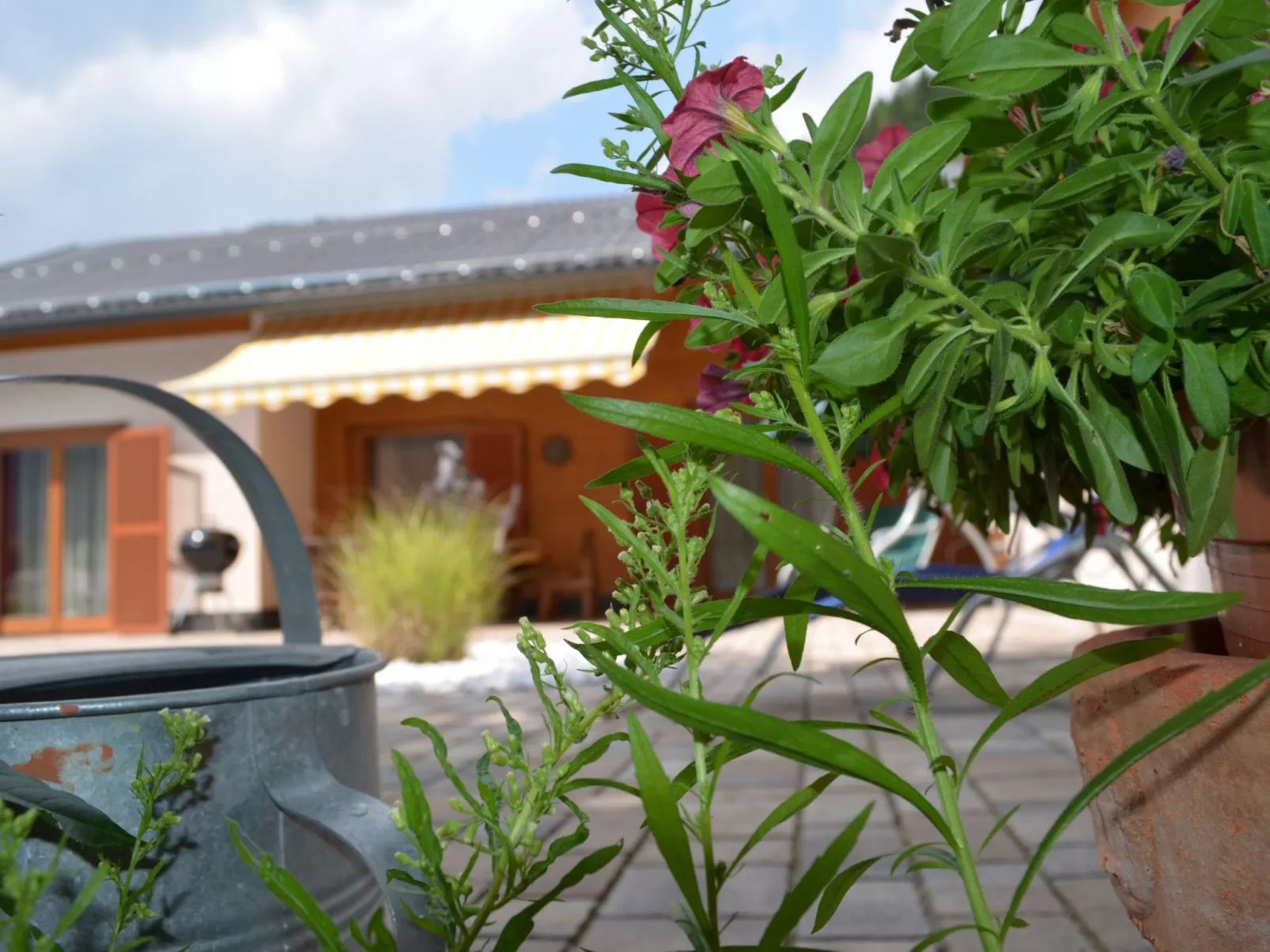 Geräumige Ferienwohnung mit zwei Schlafzimmern - Buiten