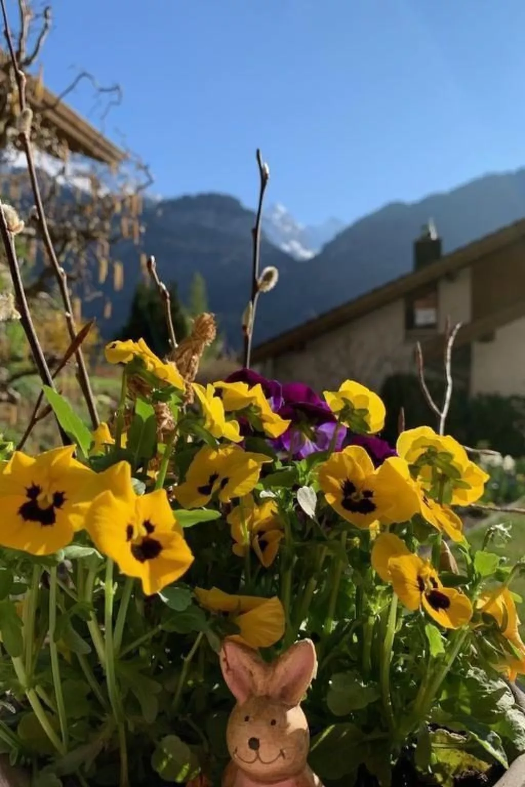 Sonnig und gemütlich-Buiten