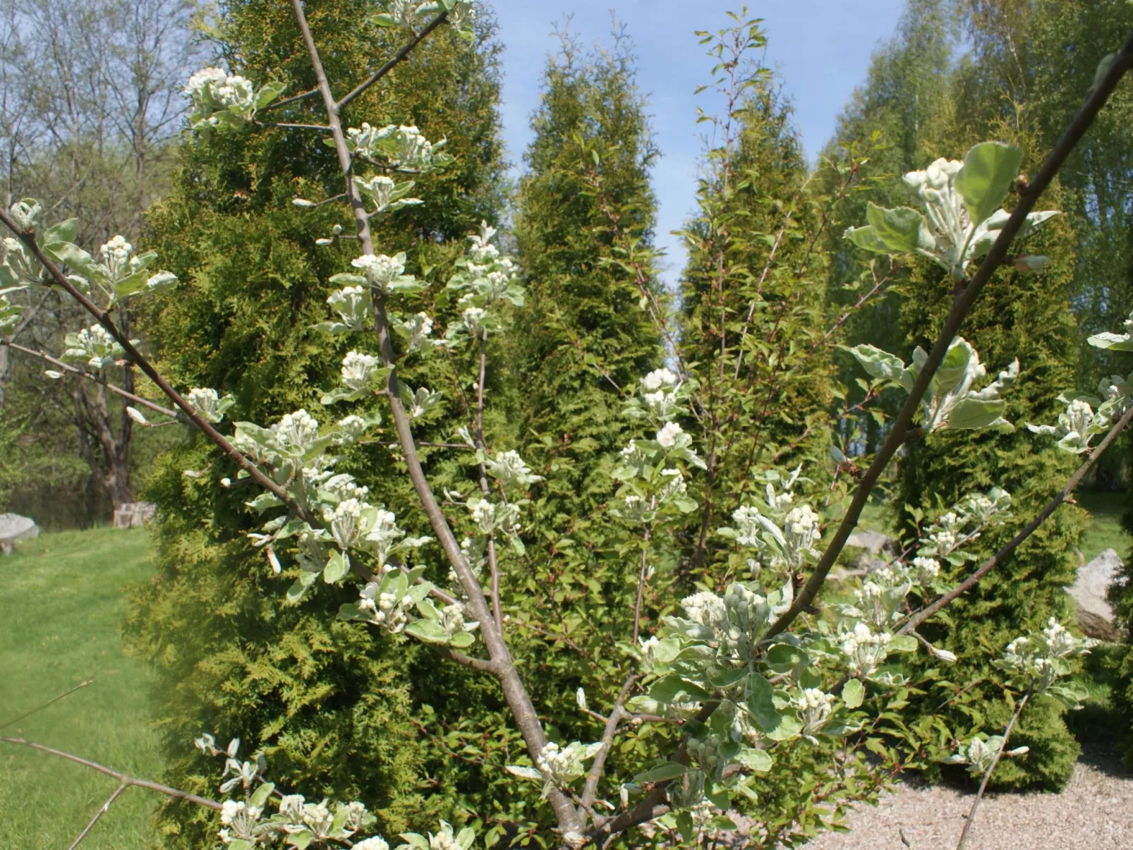 Meer, Landschaft, Stille - Ferienhäuser in den Gärten von Magra-Buiten