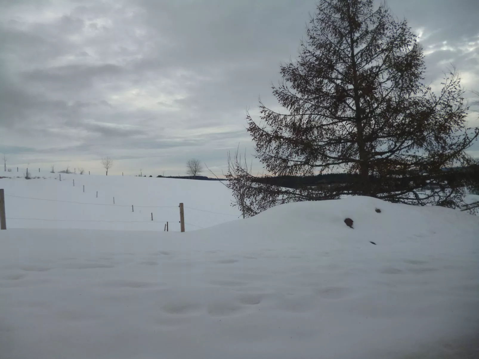 Luxus-Appartement in Kappel-Buiten