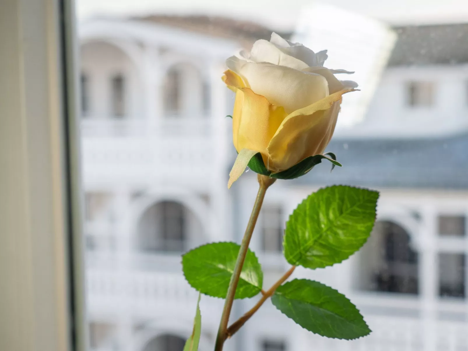 Dat Groote 551-Binnen