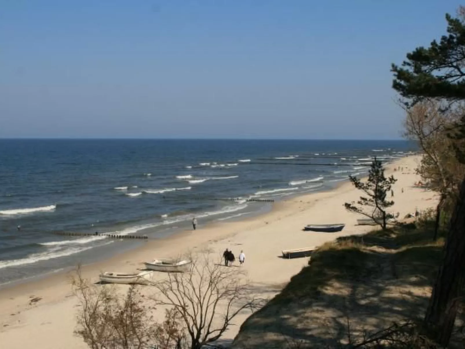 1 - EG-Image-tags.info