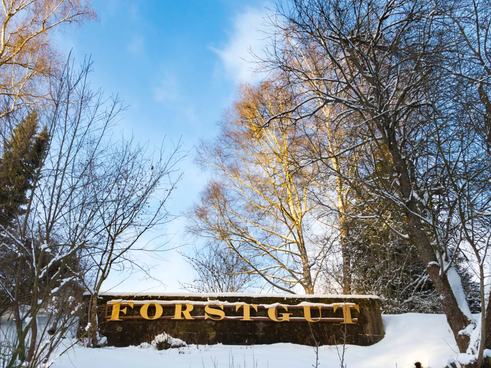 Chalet Försterei-Buiten