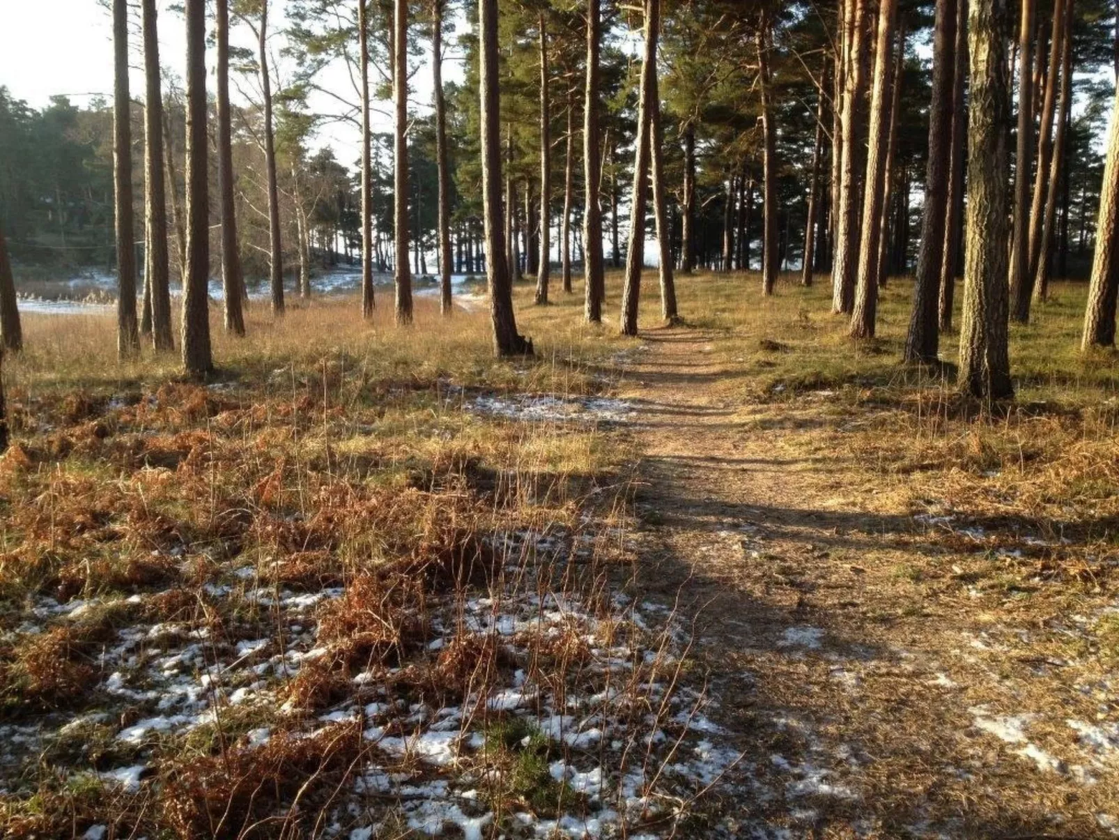 Wunderschönes Cottage "Traum von Wald und Meer"-Image-tags.info