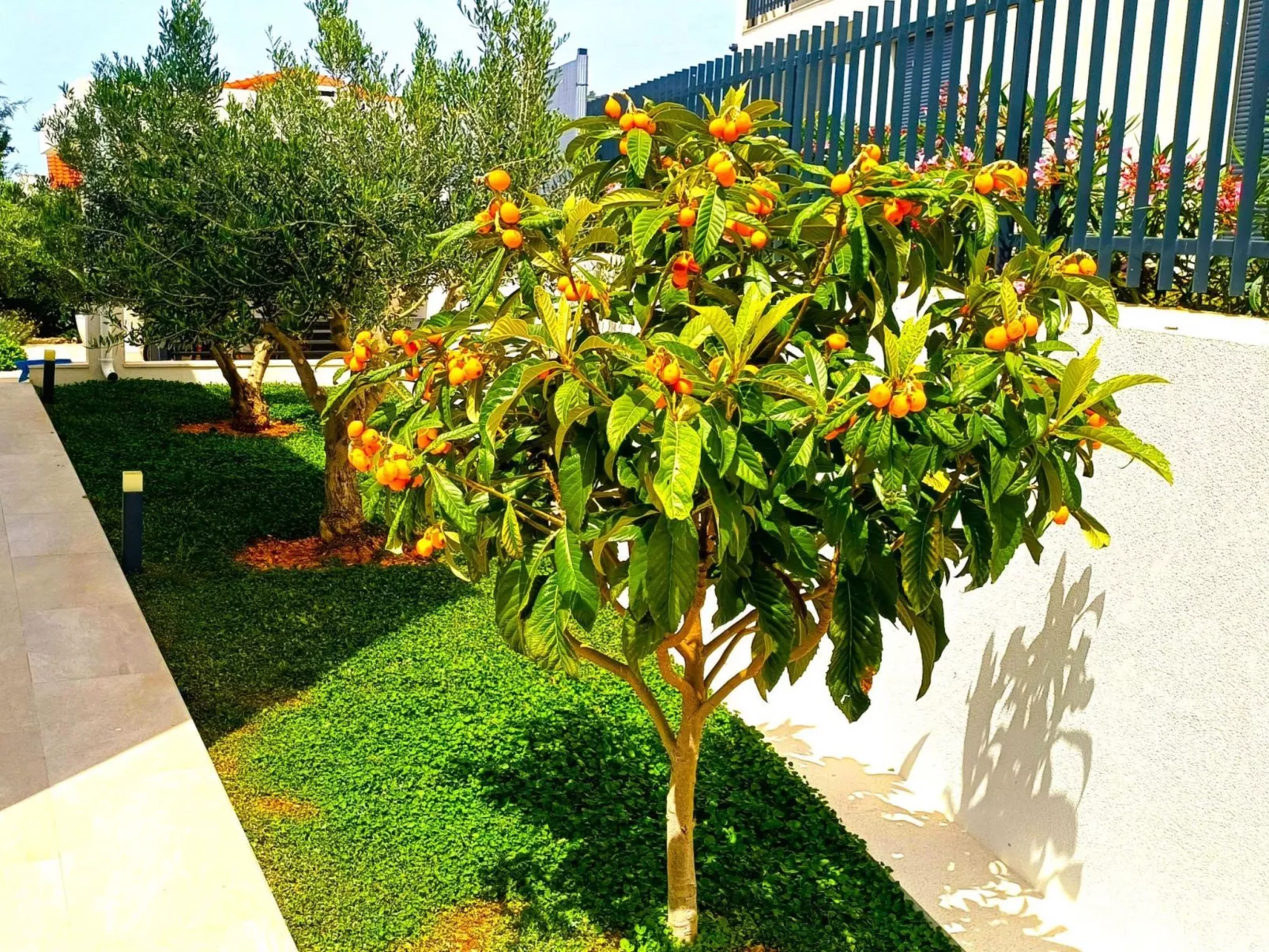 Luxuriöse Villa Dolce Vita direkt am Meer mit privatem Pool und Parkplatz-Buiten