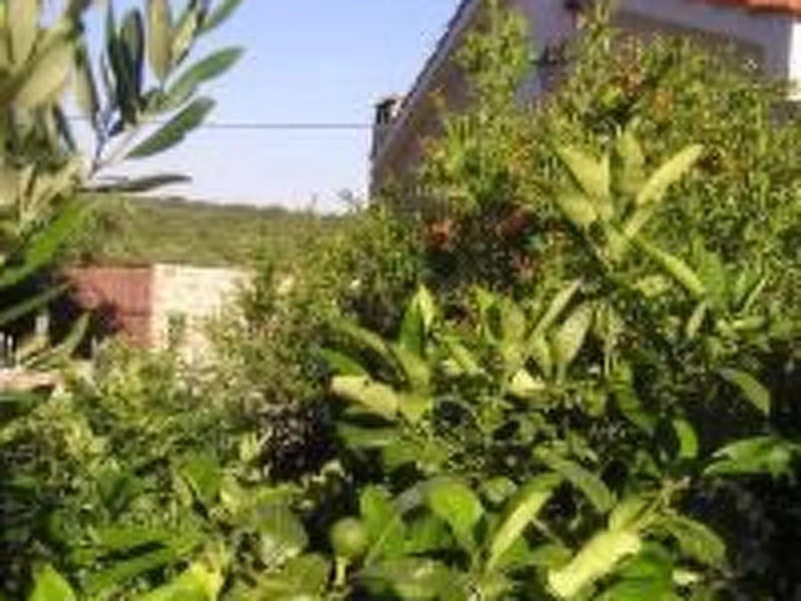 "Vila SanAdrija"-Buiten