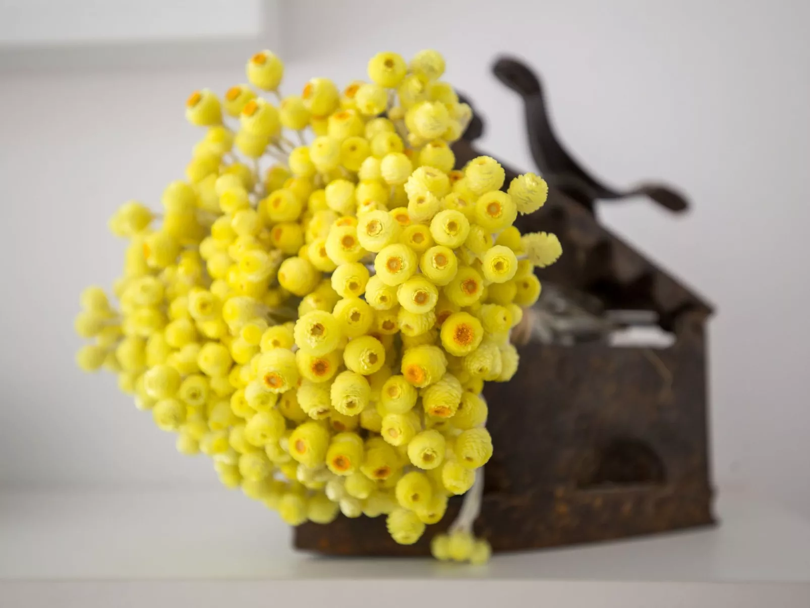 Großes Ferienhaus mit Terrasse und Garten-Image-tags.info