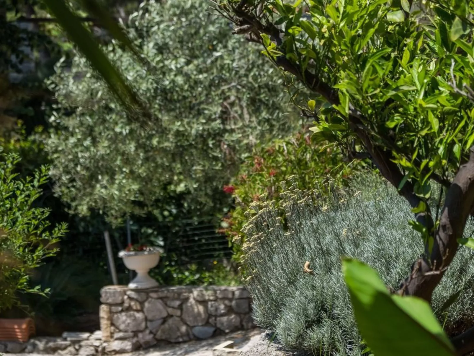 Villa Magnolia - Apartment Lavanda-Image-tags.info