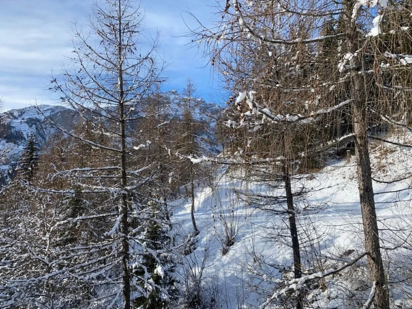 Chalet Abendstern-Buiten