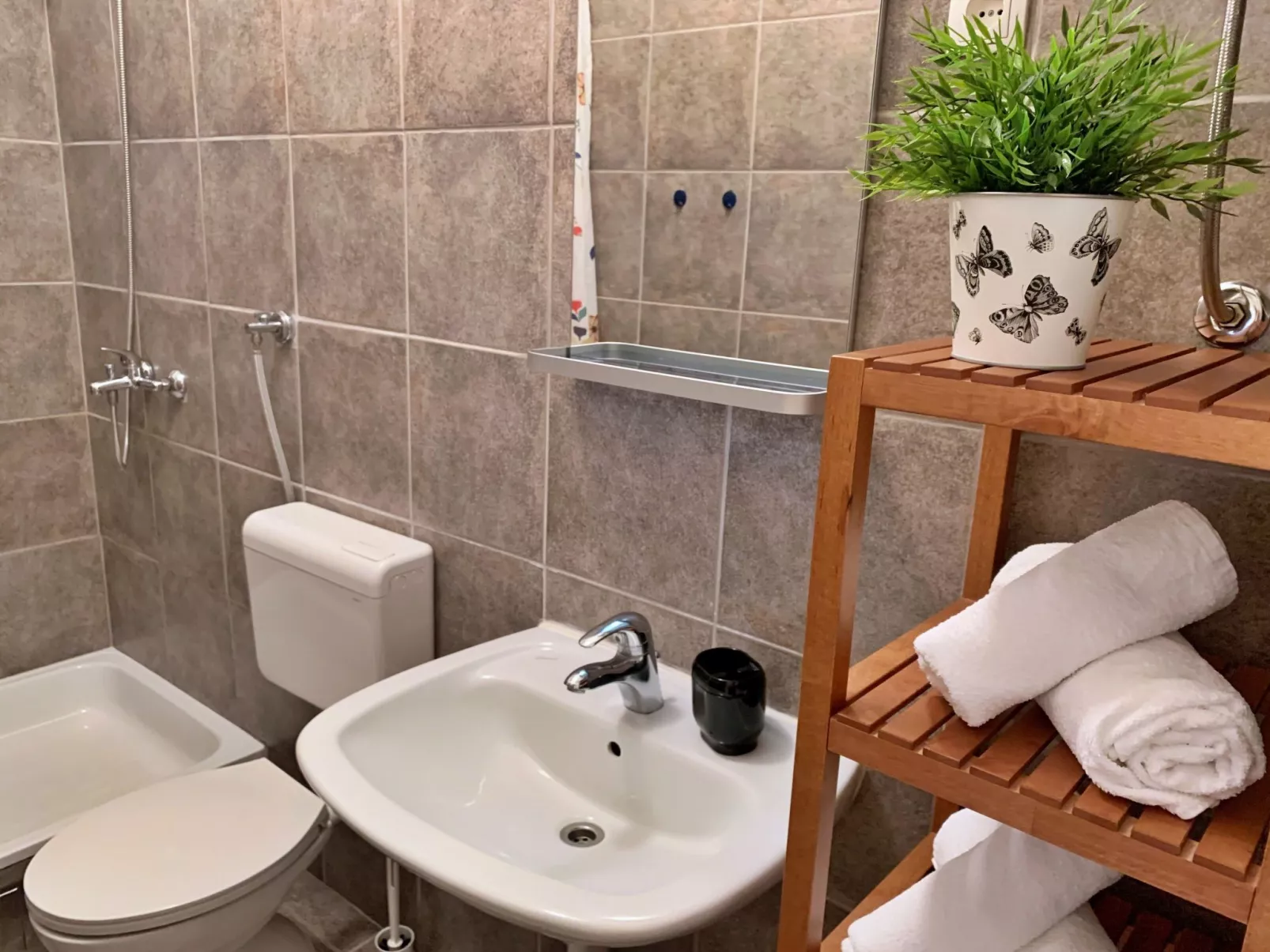 Studio Savic-Image-tags.info