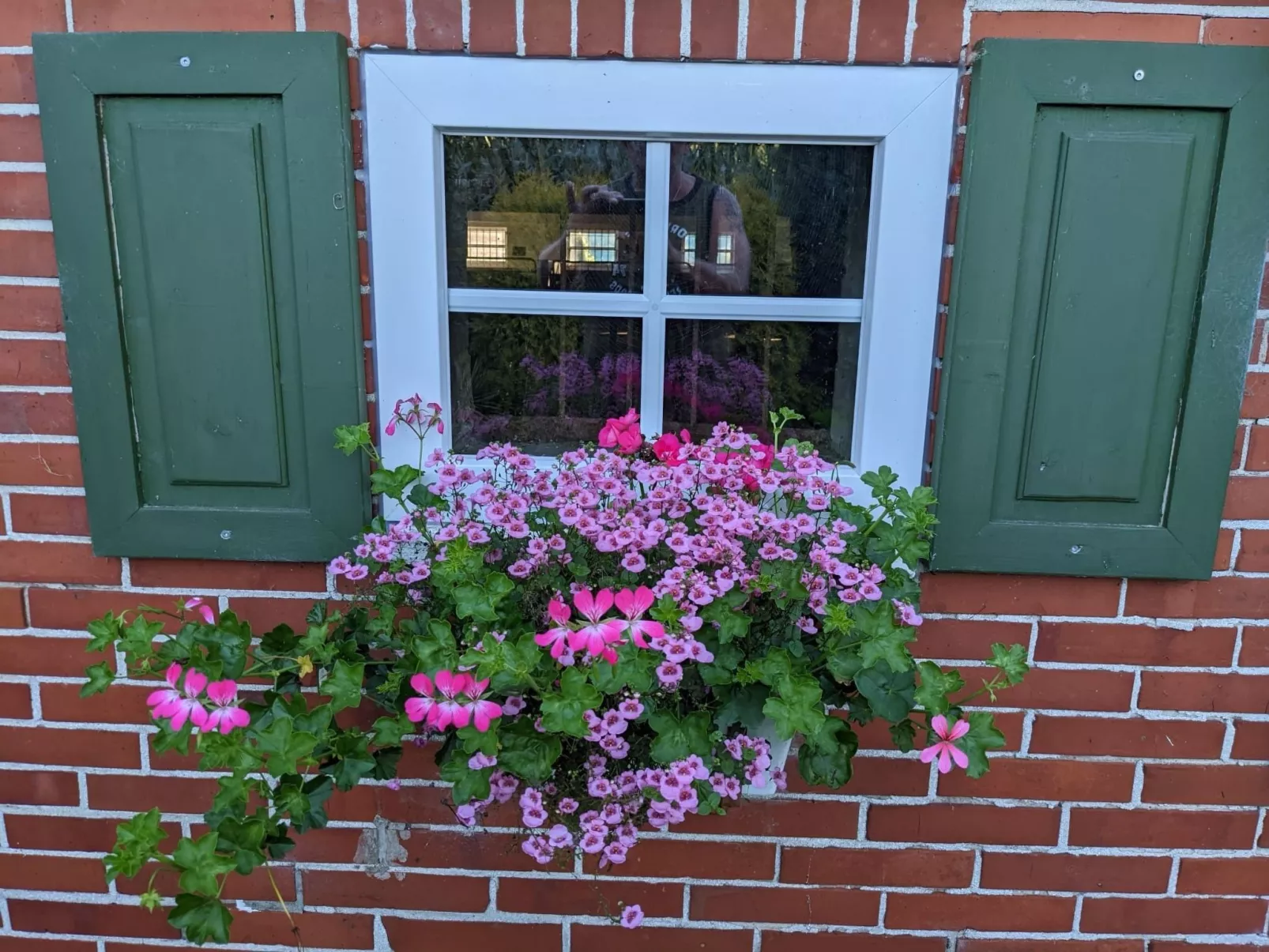 Landambiente Halbemond-Buiten