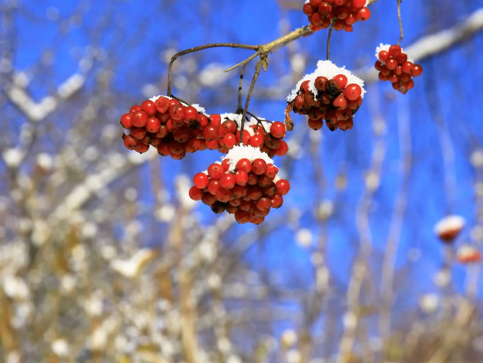 Exklusive Ferienwohnung mit eigener Sauna-Buiten