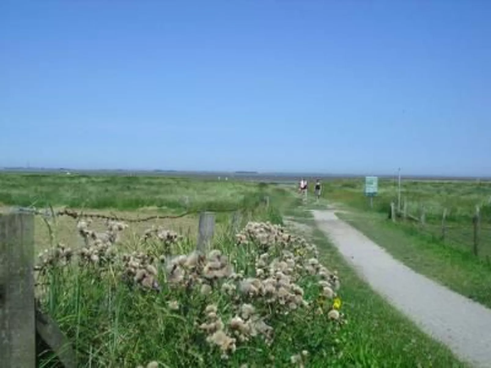 Geräumige Ferienwohnung mit Garten und Grill-Buiten