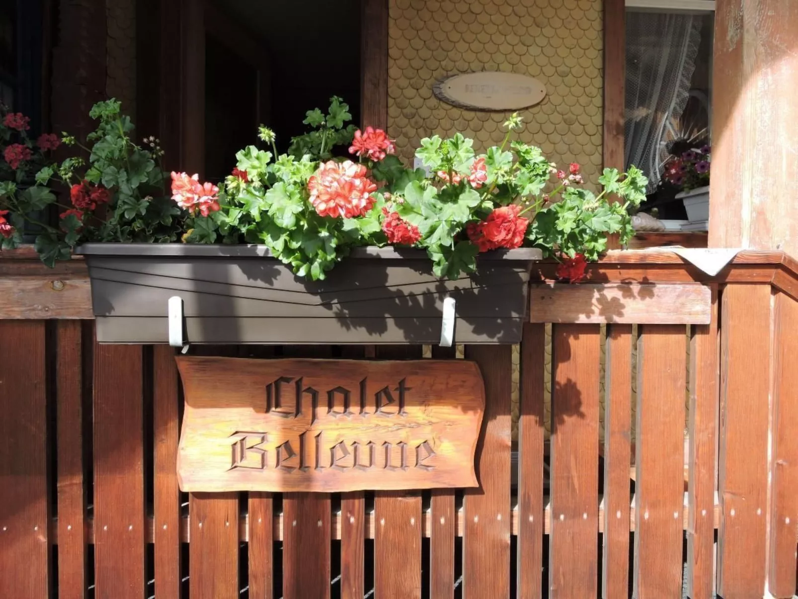 Berg- und Seeblick-Image-tags.info