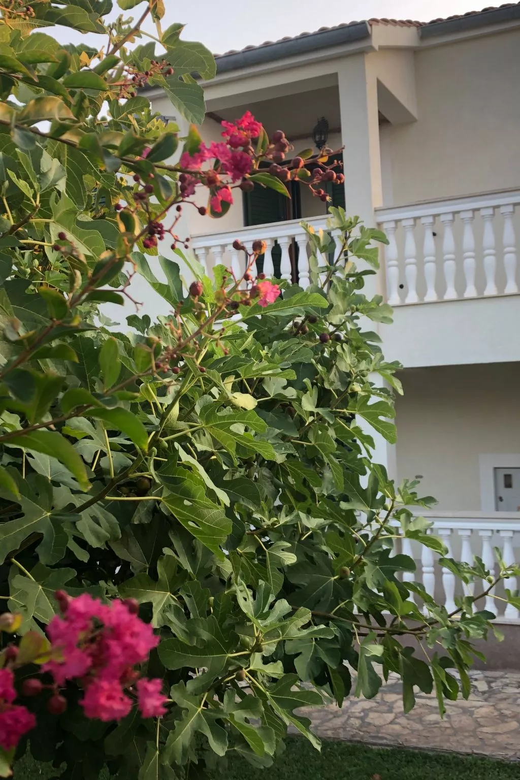 Villa Olive Grove-Buiten