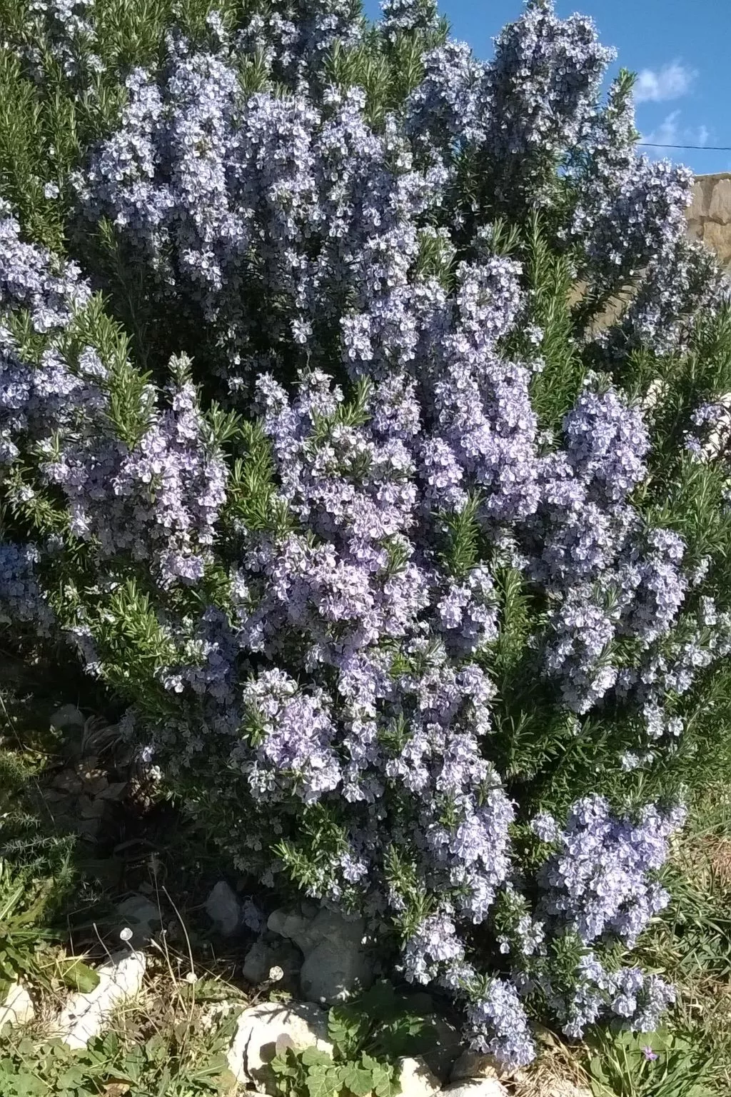 Mit Blick auf das Wasser-Image-tags.info