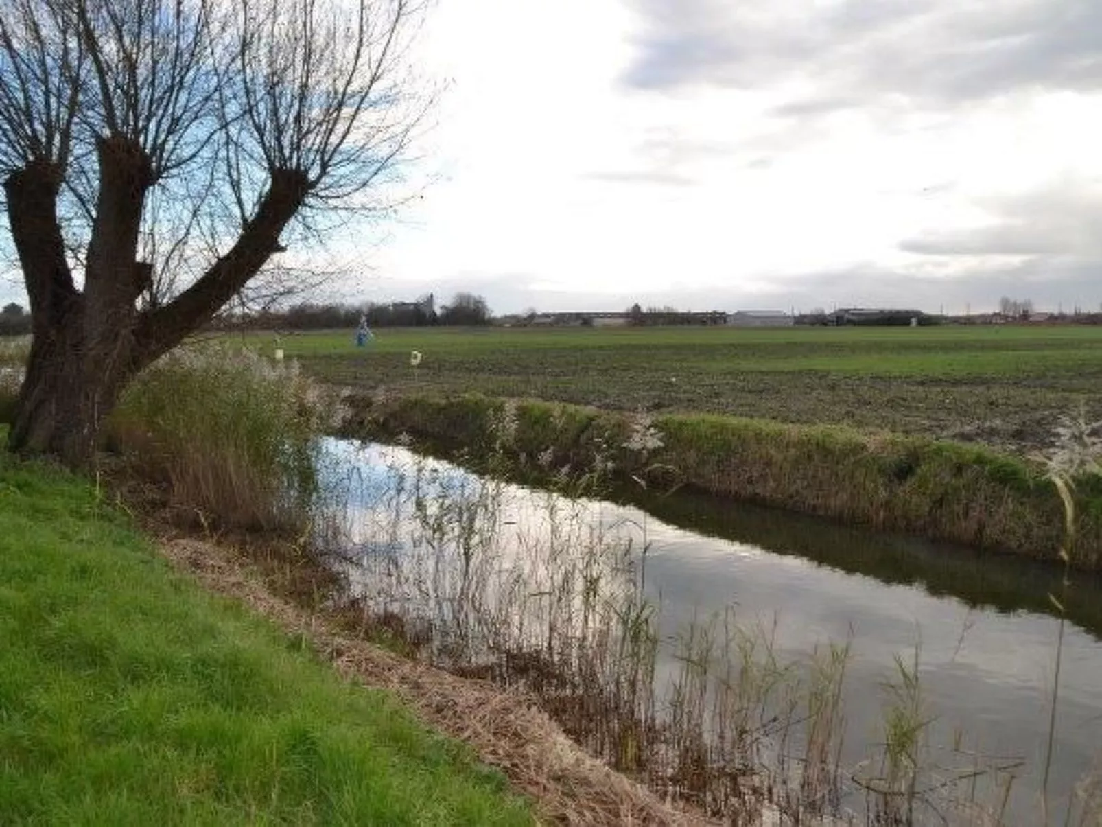 Windekind mit Blick auf die Felder-Buiten