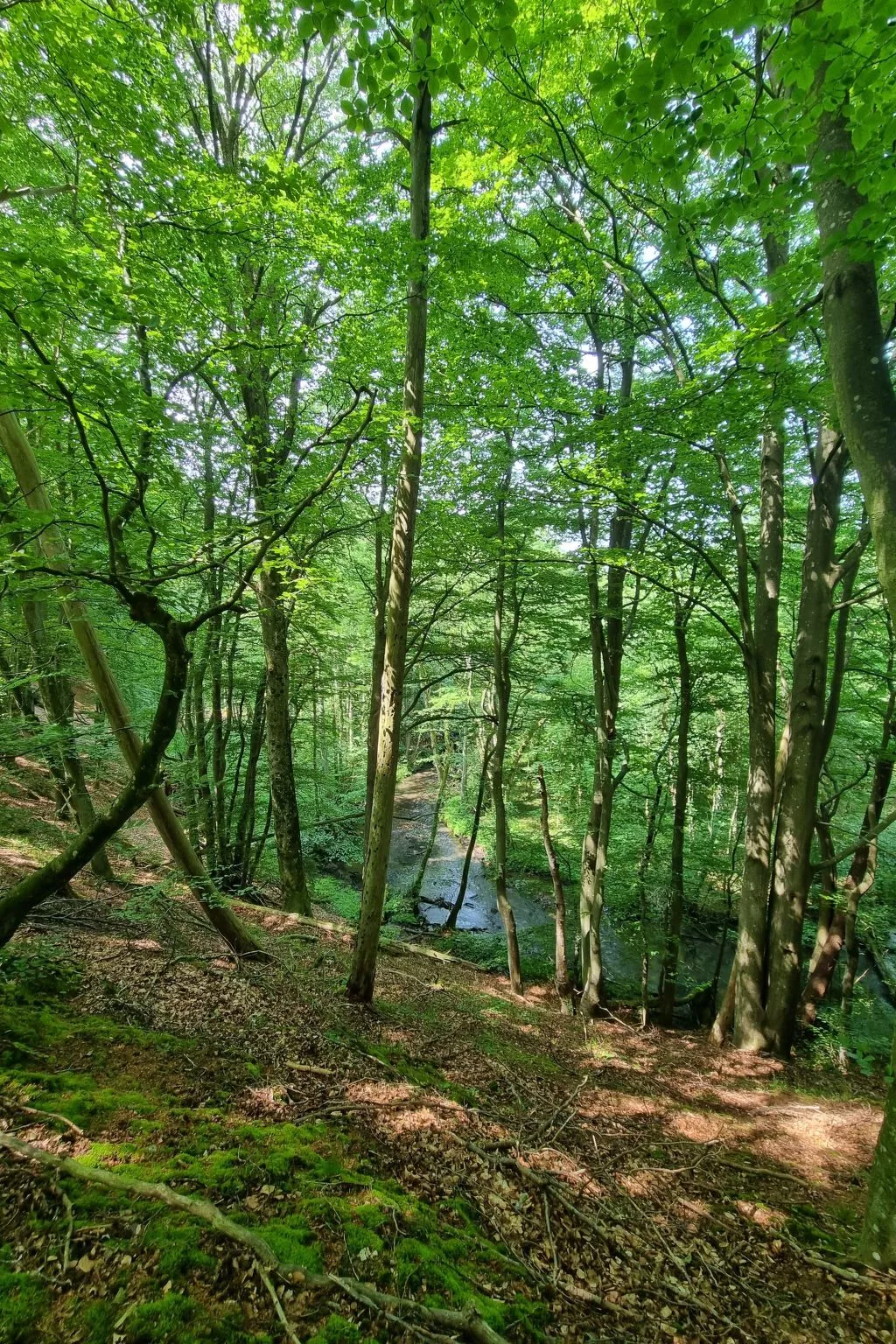 Lublewo21 Ferienhäuser - Buiten