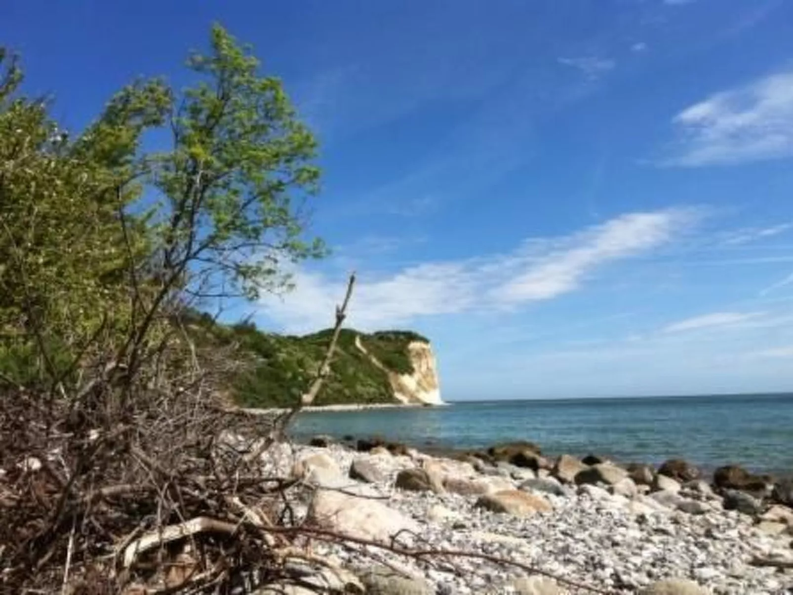 Froschhaus-Image-tags.info