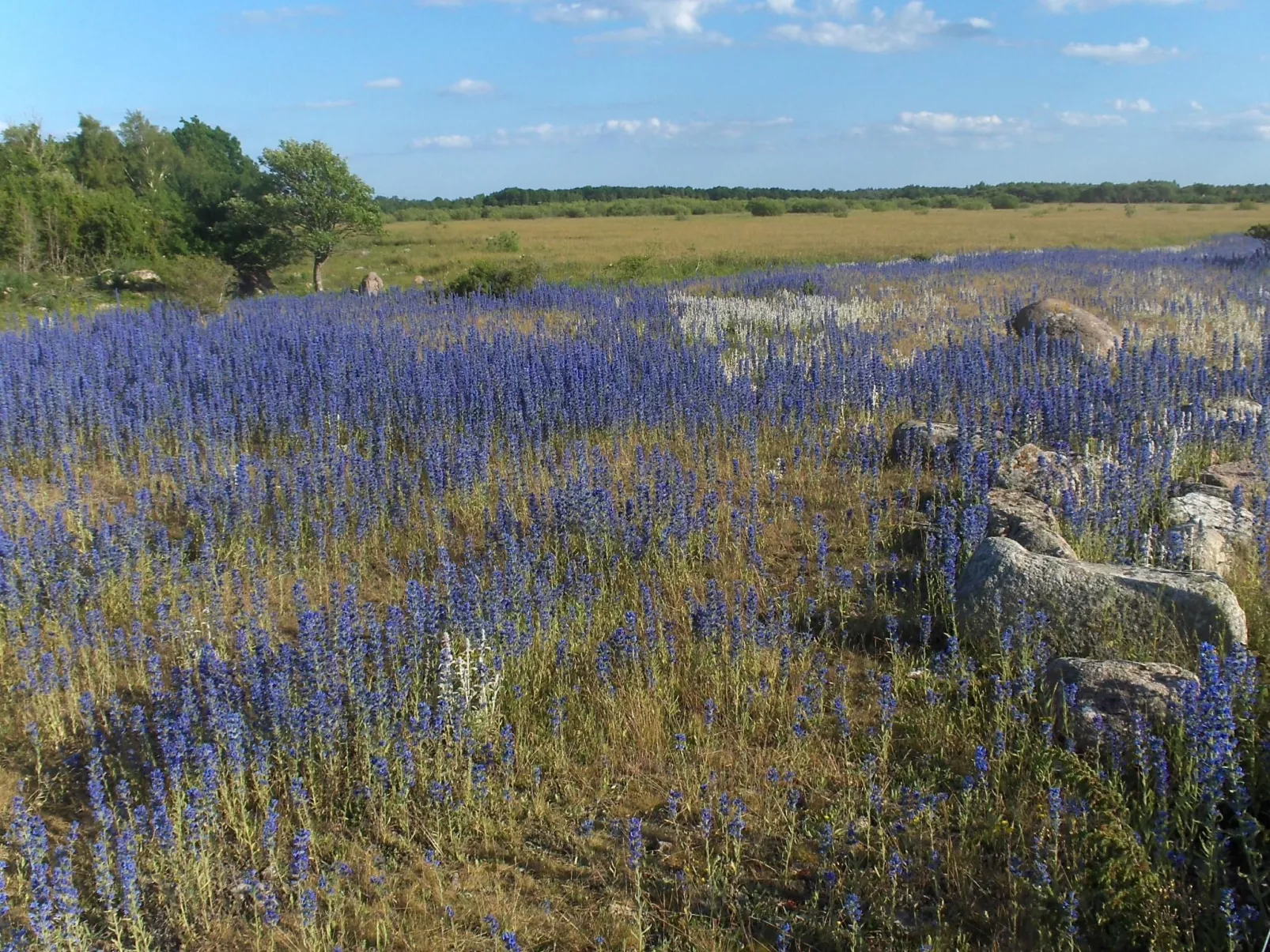 Gemütliches Ferienhaus Sjöstugan am Meer-Buiten