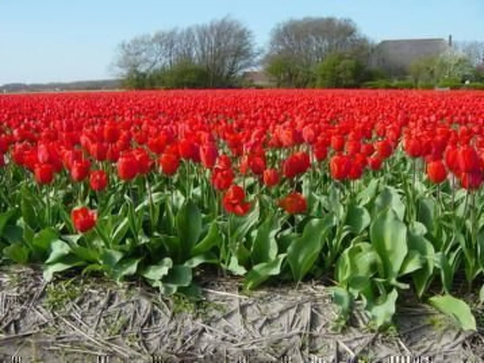 "Windhoos" mit privatem Garten und Terrasse-Image-tags.info