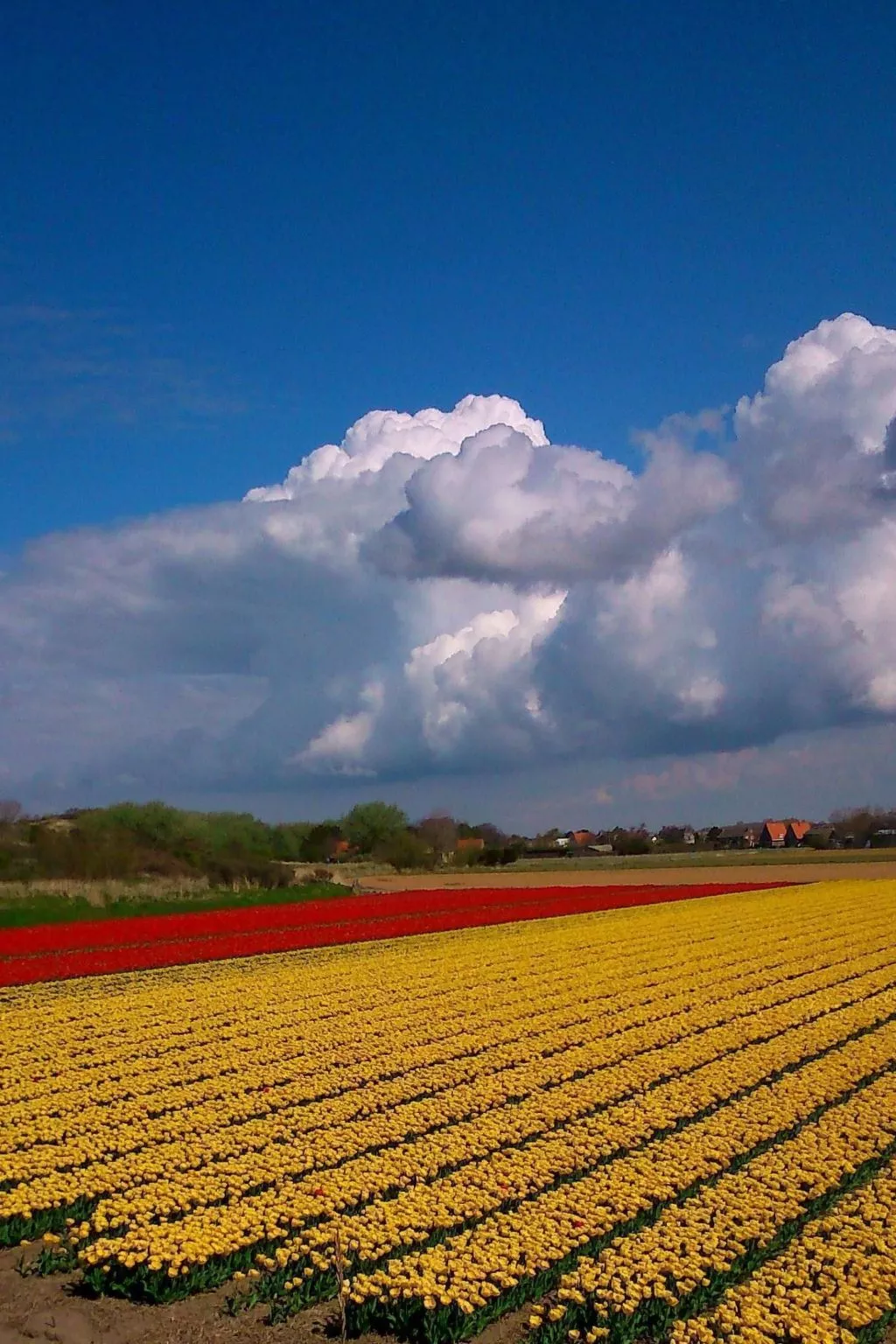 Sommerhaus "De Zeester"-Buiten