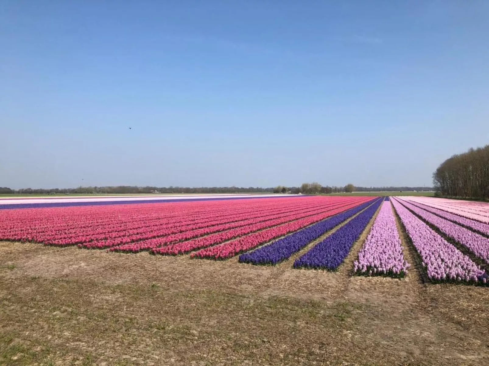 Sommerhaus Klein Wimmenum, Nähe Strand und Dünen-Image-tags.info