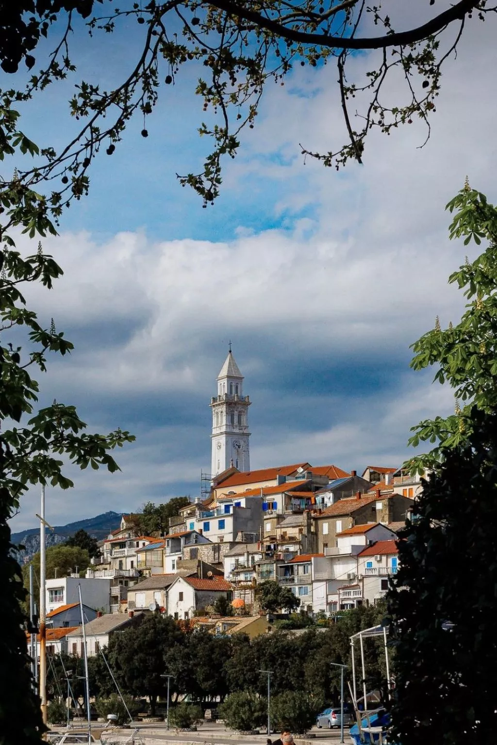 Ella-Image-tags.info