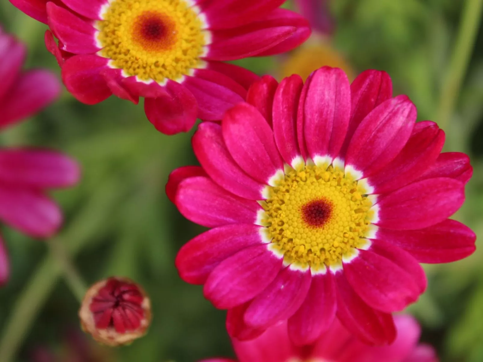 Beheiztes Schwimmbad, schattige Terrasse mit Meerblick-Image-tags.info