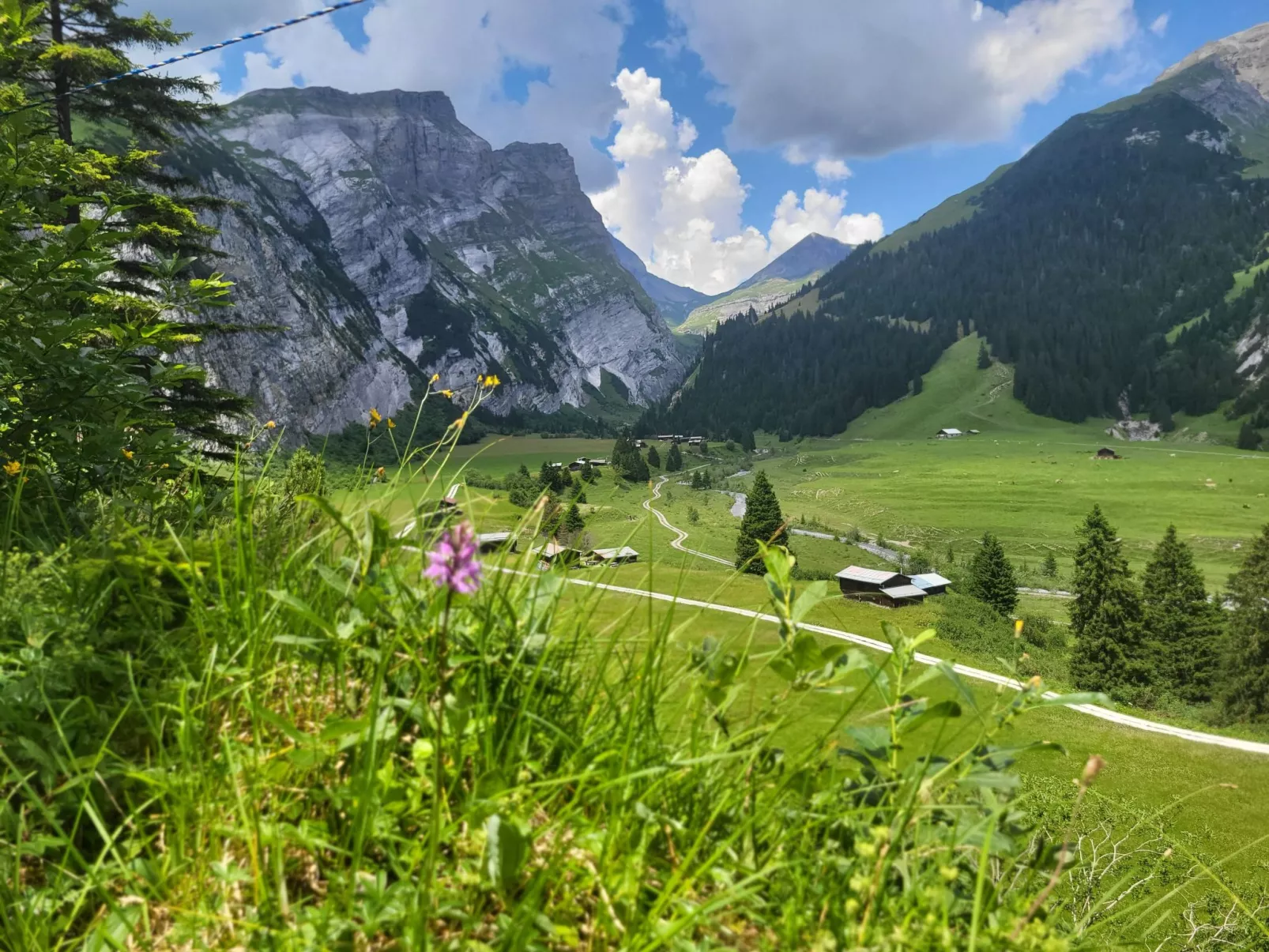 Chalet mit Bergsicht-Buiten