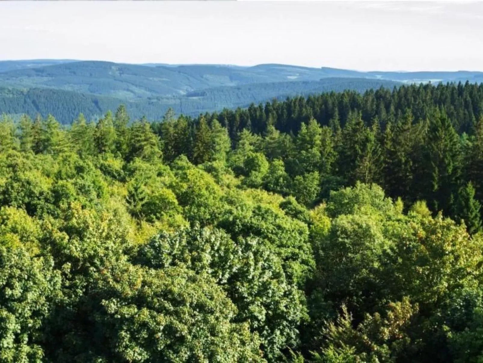 Charmantes Ferienhaus Iris im Waldecker Land-Buiten