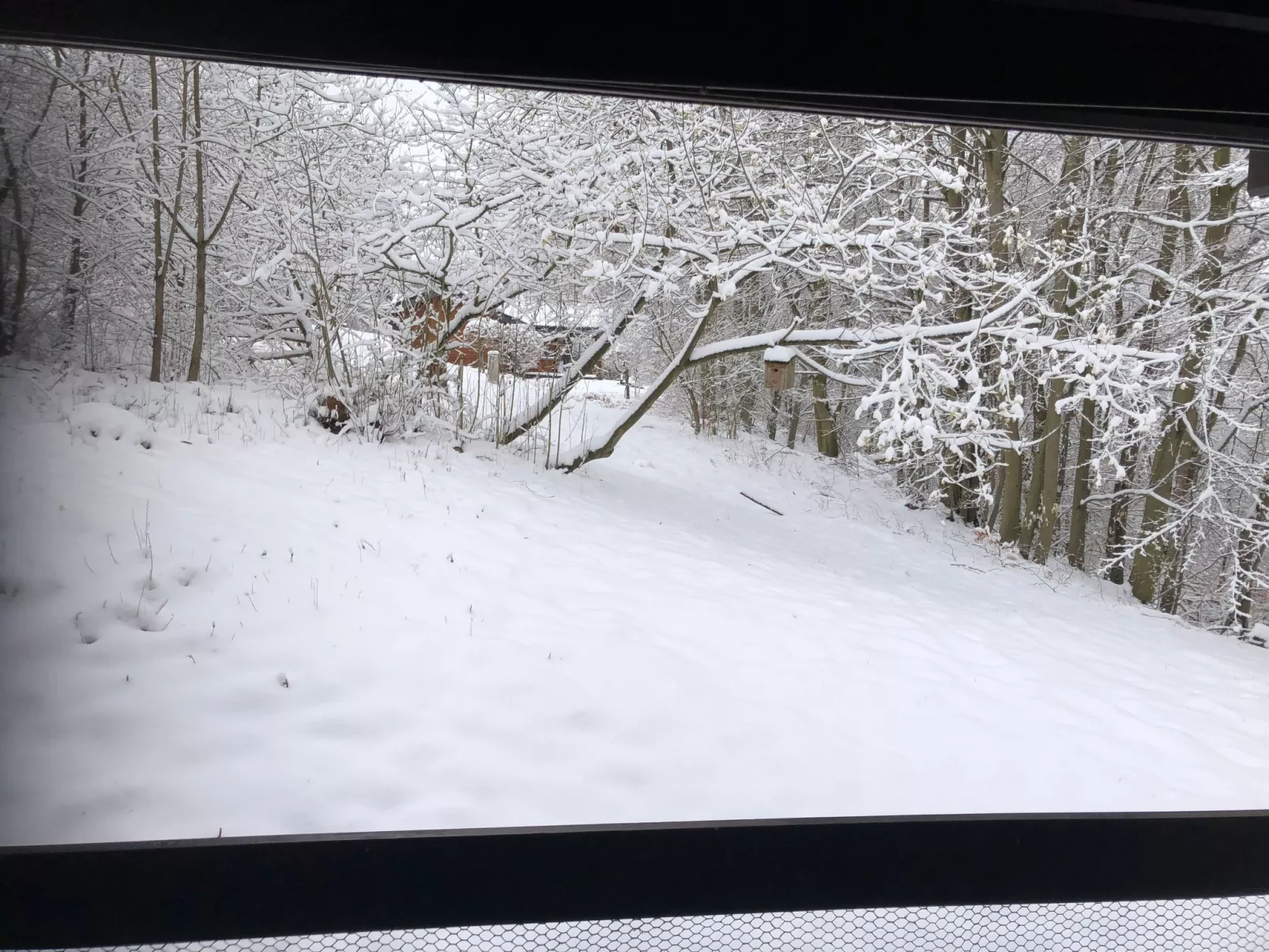 Wunderschönes Ferienhaus am Waldrand-Buiten