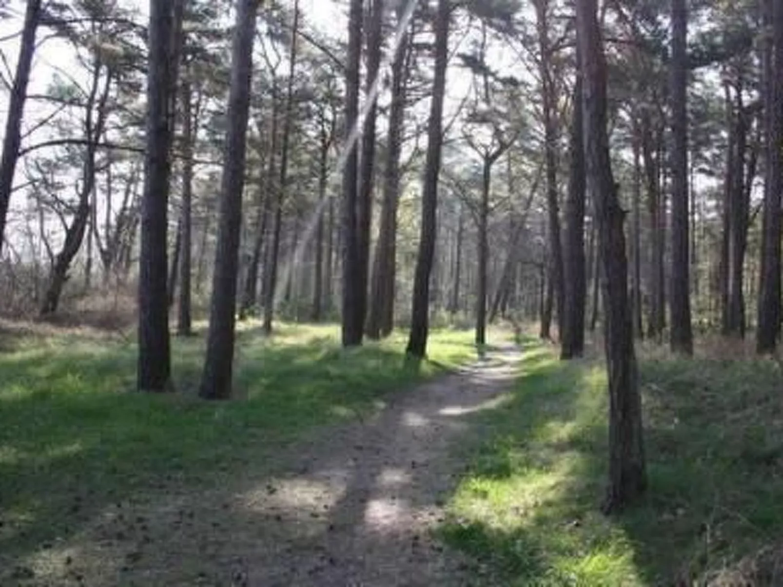 Annette-Image-tags.info