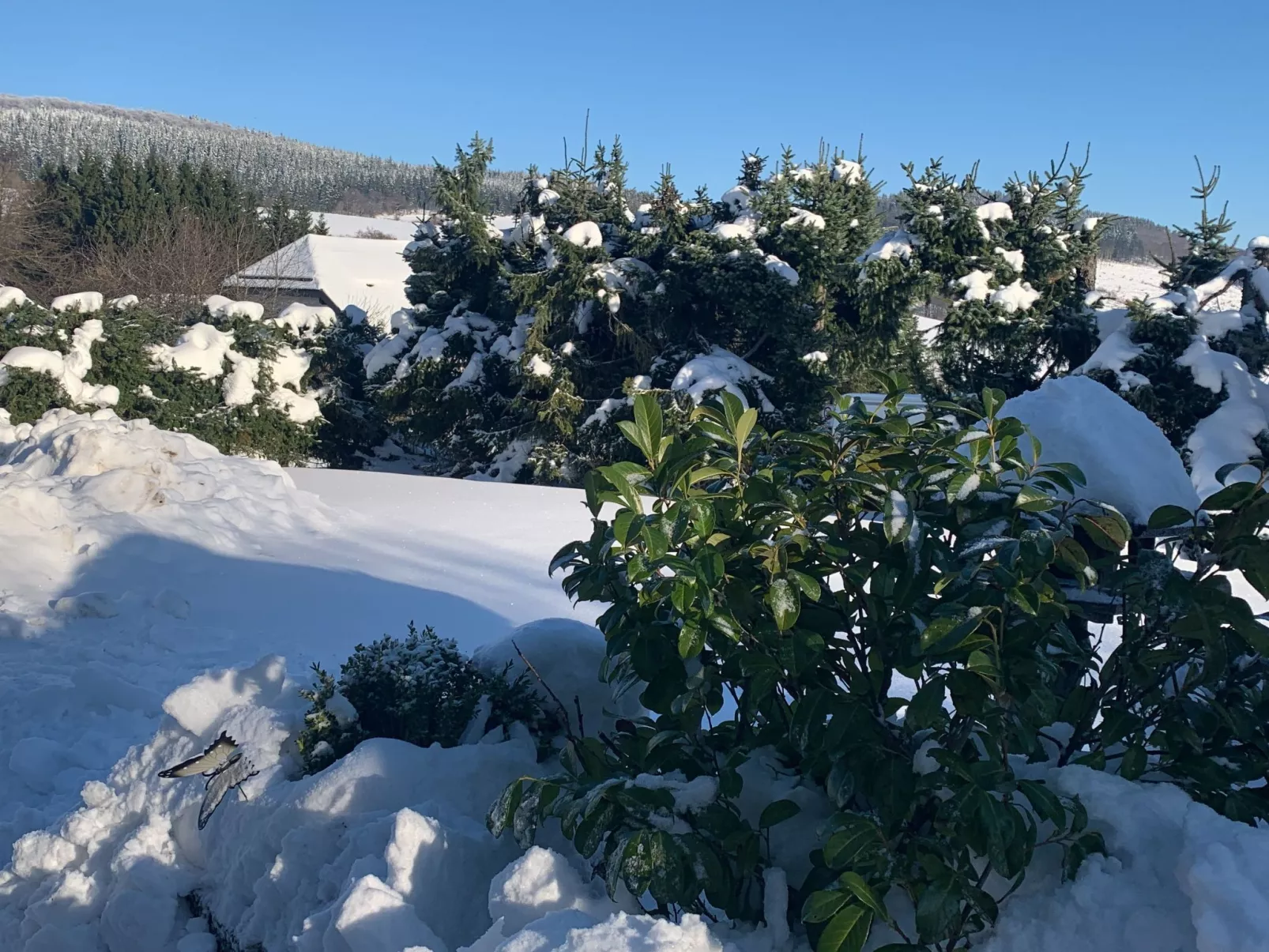 Mit eigener Terrasse-Buiten