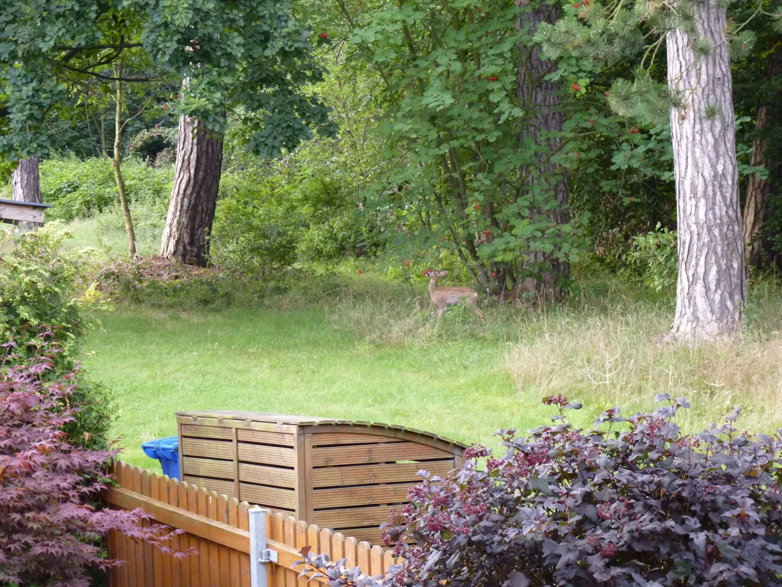 Gemütliches Appartement in Ottenhai mit Grill-Image-tags.info