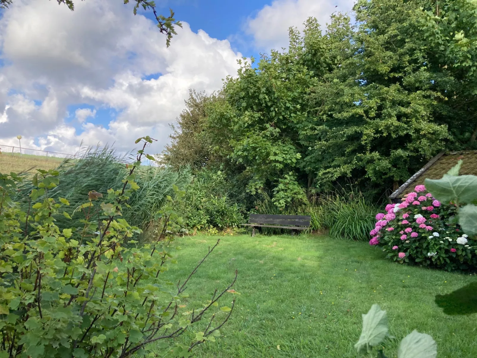 Haus am Deich!-Buiten