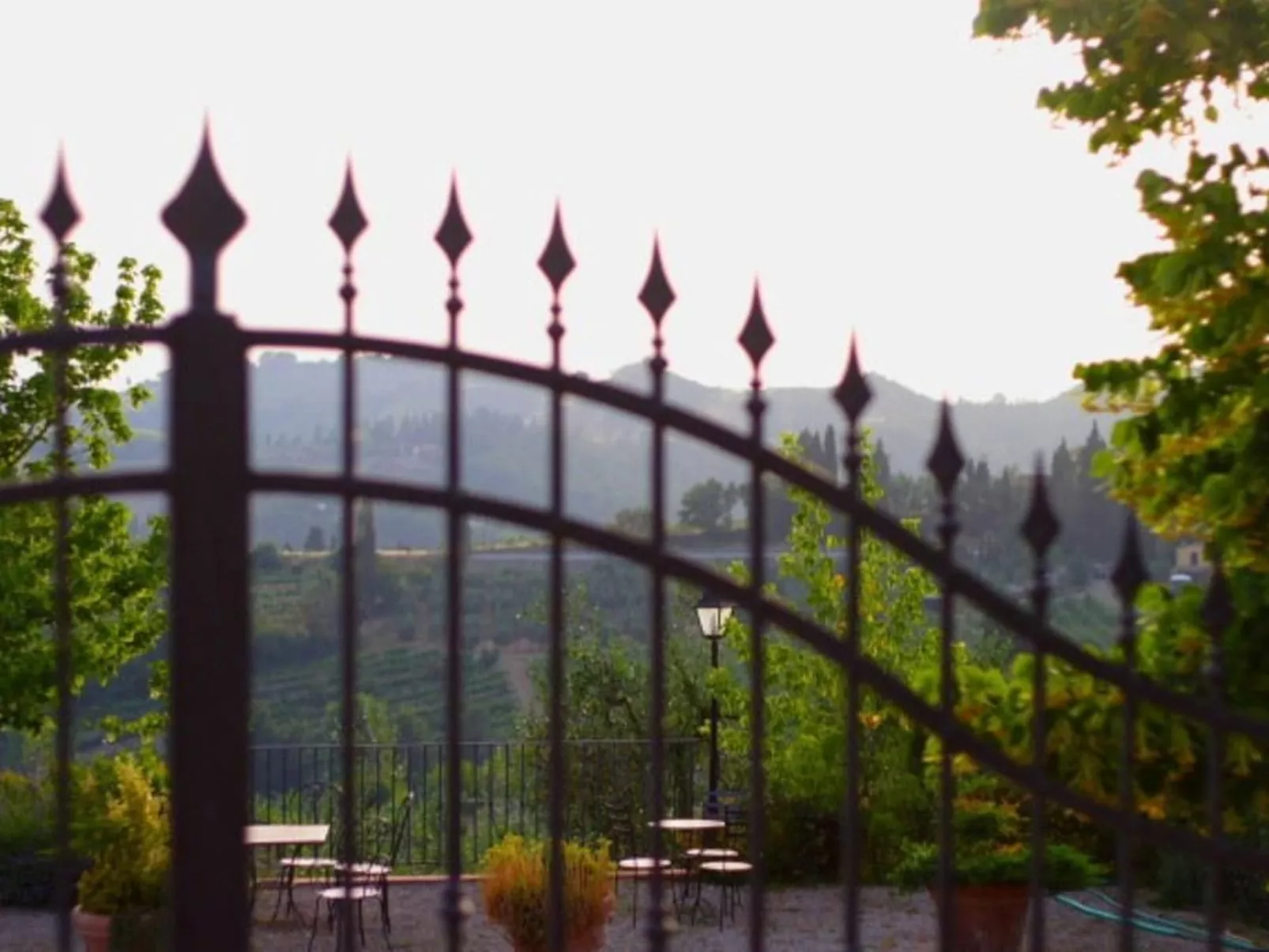 Belvedere-Image-tags.info