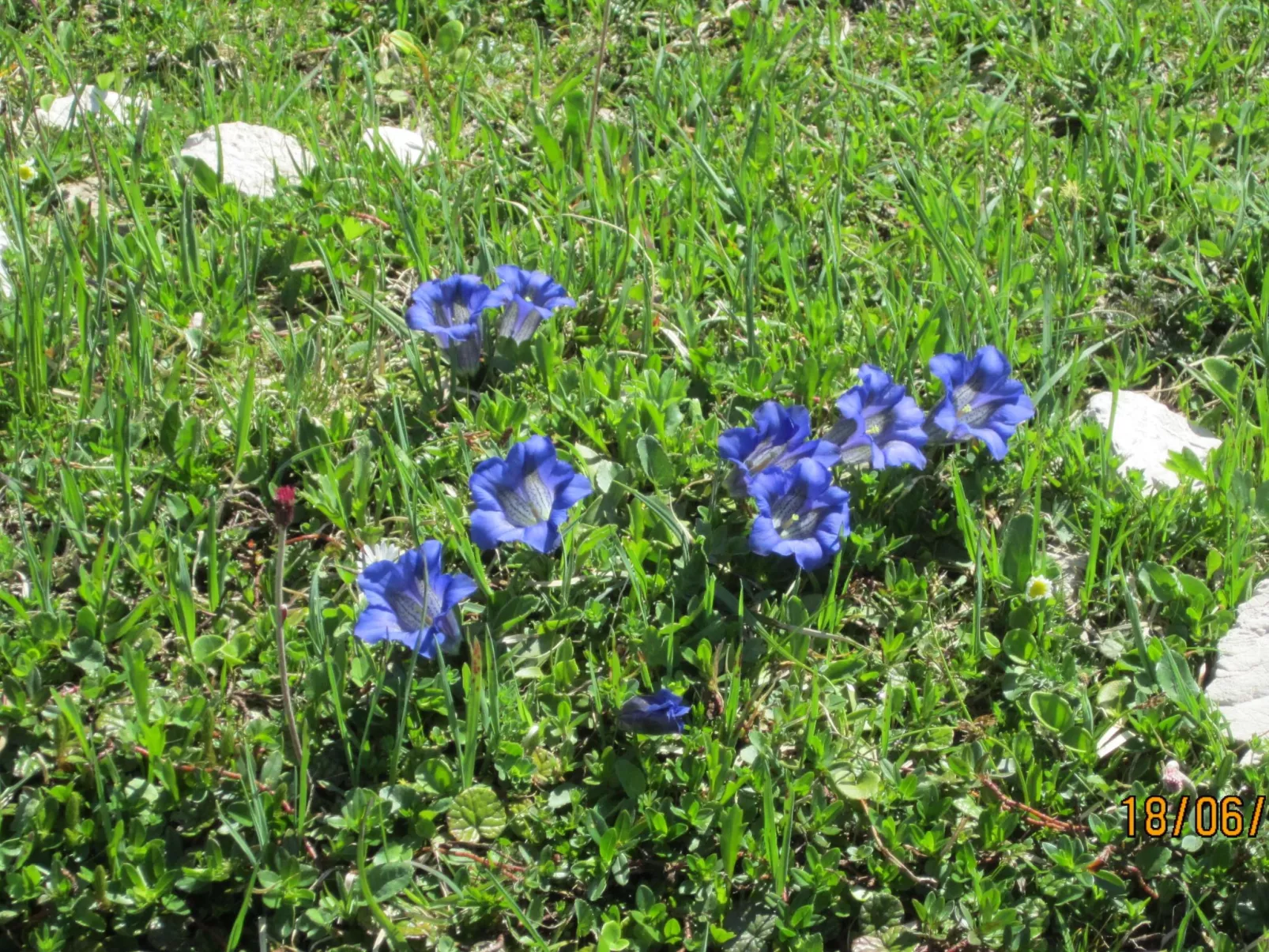 Ferienwohnungen Hohl-Binnen