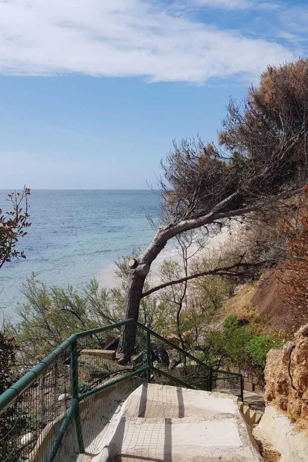 Mare e Pineta-Binnen