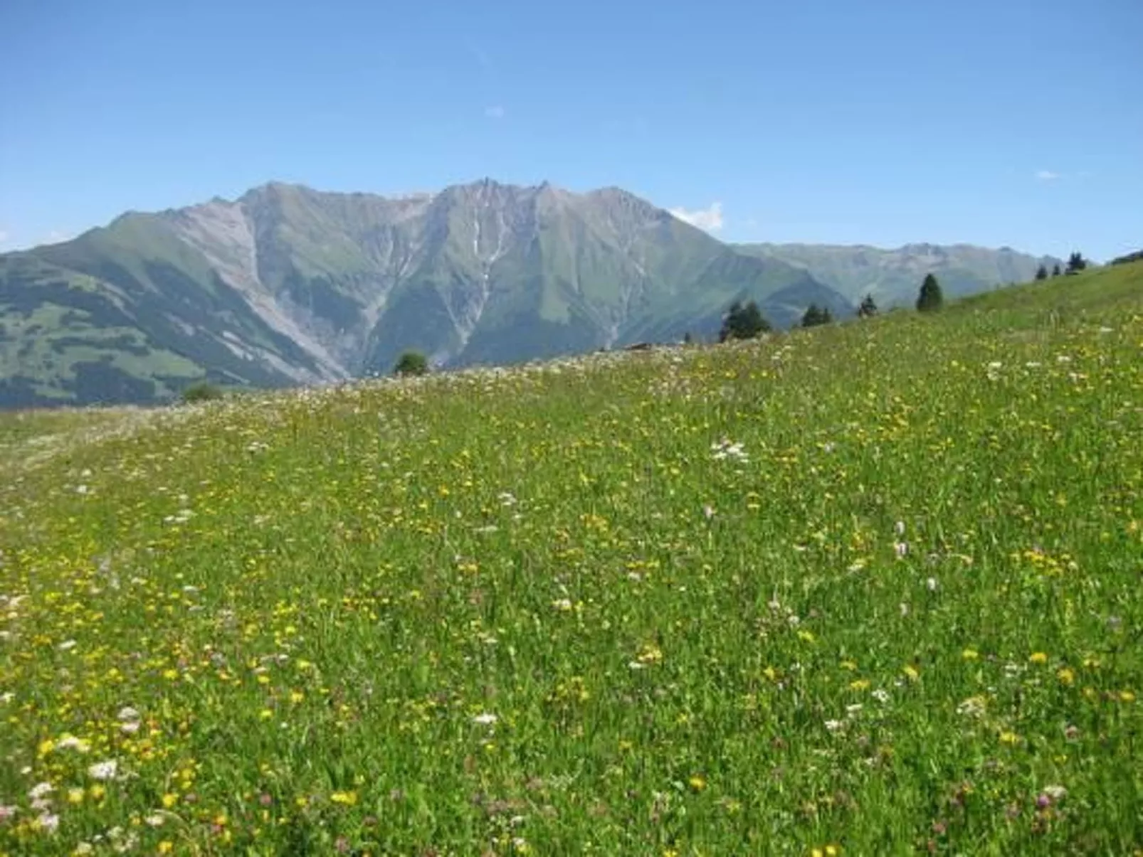 Aparthaus Surselva, direkt an der Skipiste-Buiten